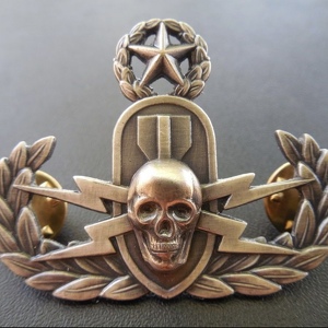 Fundraising Page: Shannon Daniel